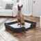Flash Furniture Gray 44x34 Orthopedic Memory Foam Bolster Dog Bed AJ-ORTHO-00190-GY-GG - alternate 7